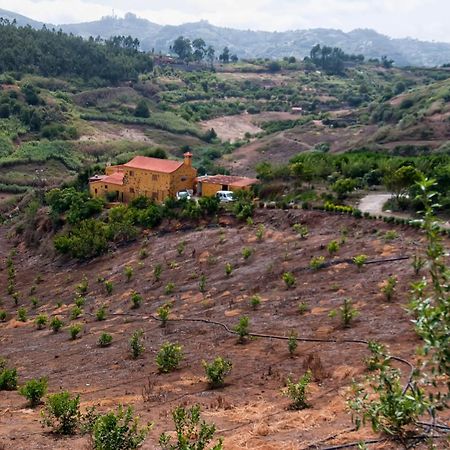 Las Casas De Lola Y Rafael Moya  Dış mekan fotoğraf
