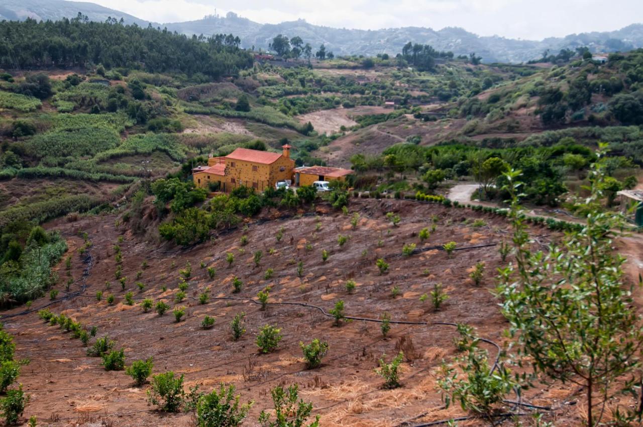 Las Casas De Lola Y Rafael Moya  Dış mekan fotoğraf